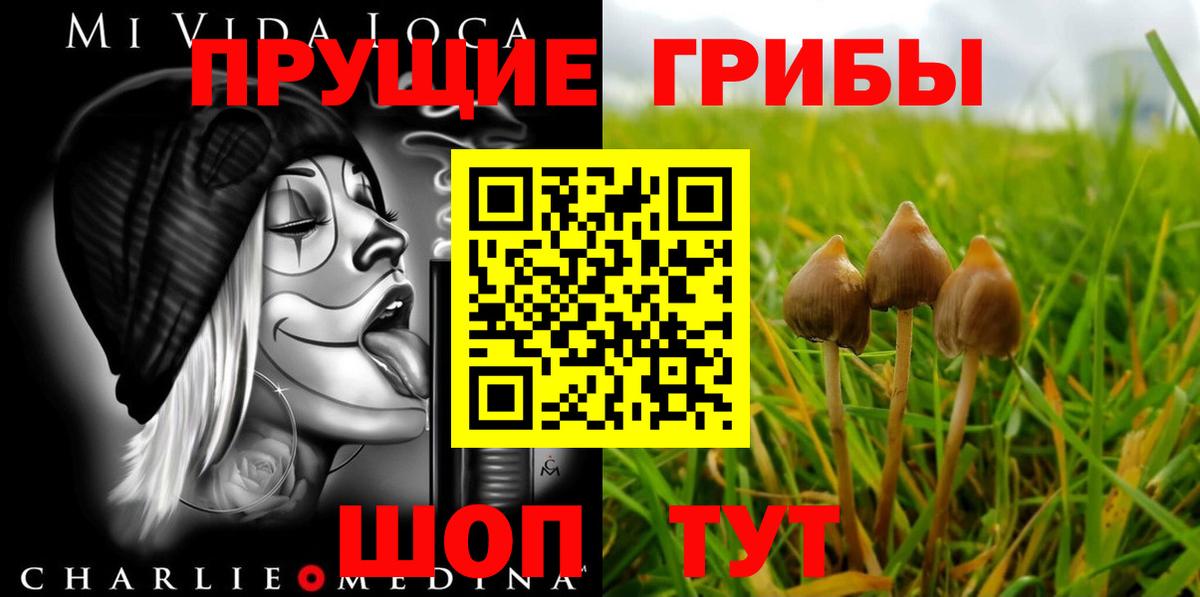 Псилоцибиновые грибы Magic Shrooms Нягань